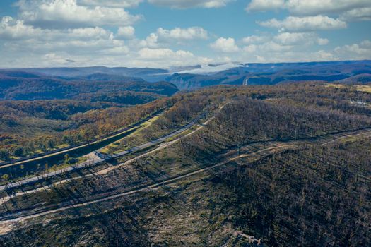 Aerial view of low clouds in a valley of forest regeneration after bushfires in The Blue Mountains in regional New South Wales in Australia