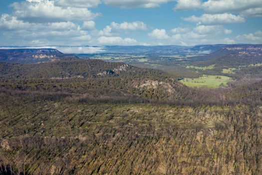 Aerial view of low clouds in a valley of forest regeneration after bushfires in The Blue Mountains in regional New South Wales in Australia