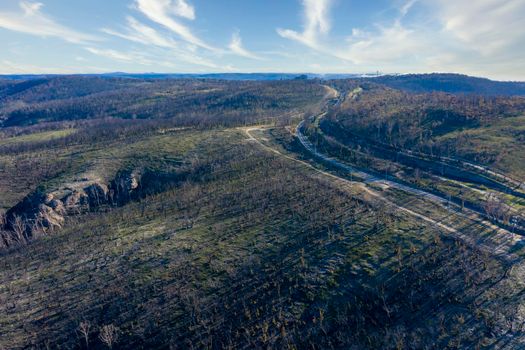 Aerial view of low clouds in a valley of forest regeneration after bushfires in The Blue Mountains in regional New South Wales in Australia