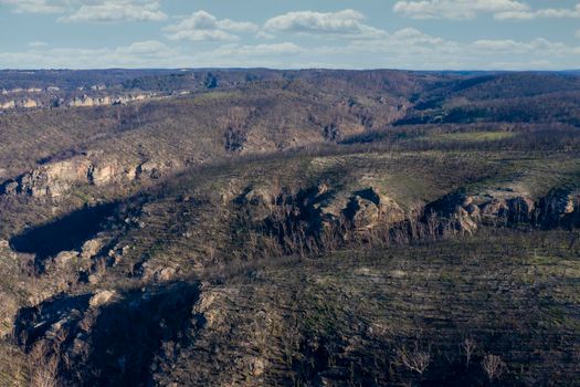 Aerial view of low clouds in a valley of forest regeneration after bushfires in The Blue Mountains in regional New South Wales in Australia