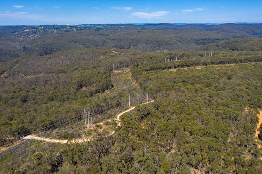 Aerial view of transmission towers and power lines running through a forest in regional Australia