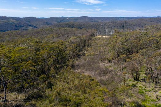 Aerial view of transmission towers and power lines running through a forest in regional Australia