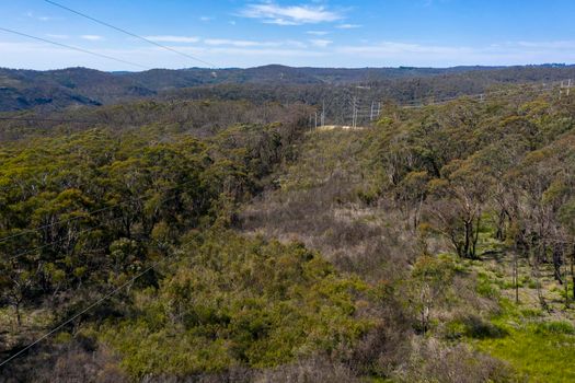 Aerial view of transmission towers and power lines running through a forest in regional Australia