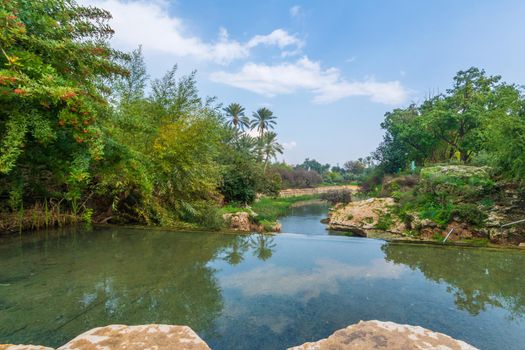 View of natural warm water pool in Gan HaShlosha National Park (Sakhne), in the Bet Shean Valley, Northern Israel