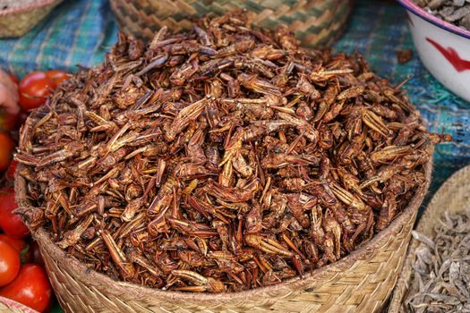 Dry fried grasshopper or locust insect on display at street food market in Madagascar.