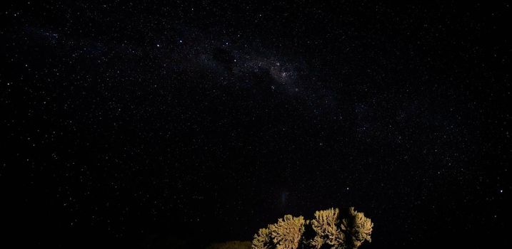 Night sky with Milkyway galaxy over small tree shrubs as seen from Anakao, Madagascar, Southern cross or crux constellation visible near Carina Nebula.