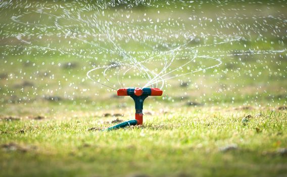 Watering system with spiral sprays going up with lots of splashes and drops falling on green grass. Device of irrigation in garden. Lawn sprinkler in close-up view. Easy gardening and agriculture.