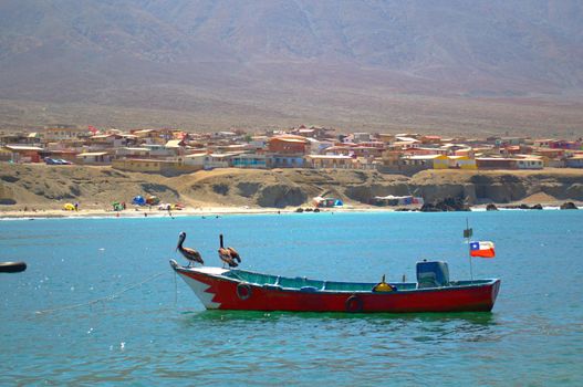 Black cormorants perched on a fishing boat in Juan Lopez, Antofagasta, Chile