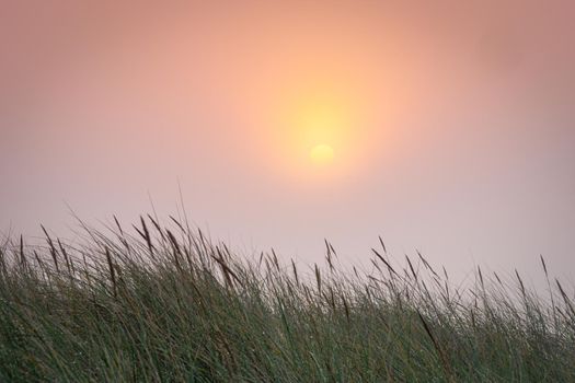 Sunrise light diffused by fog on the beach