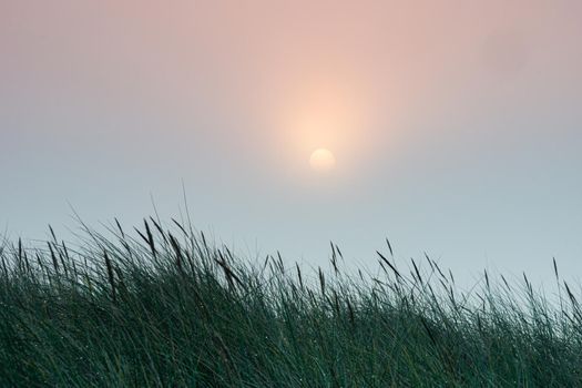 Sunrise light diffused by fog on the beach