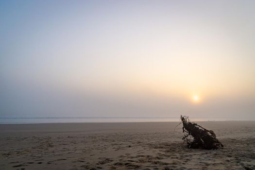 Sunrise light diffused by fog on the beach