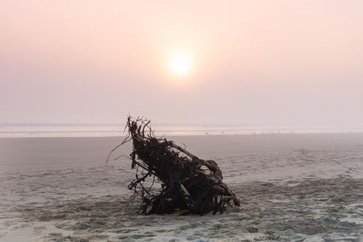 Sunrise light diffused by fog on the beach