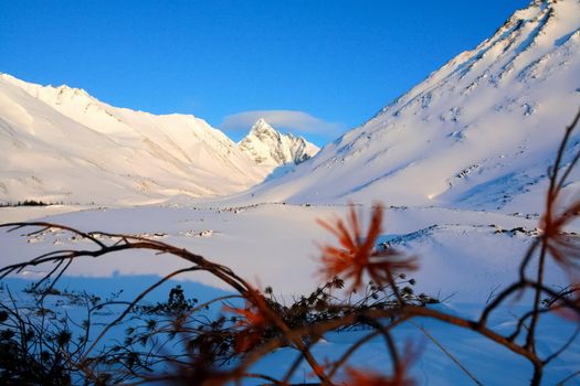 Baikal mountains in winter in snow. Forest in snow-covered mountains.