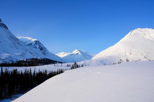 Baikal mountains in winter in snow. Forest in snow-covered mountains.