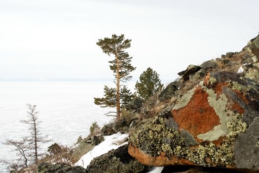 Baikal mountains in winter in snow. Forest in snow-covered mountains.