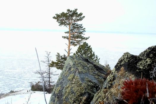 Baikal mountains in winter in snow. Forest in snow-covered mountains.