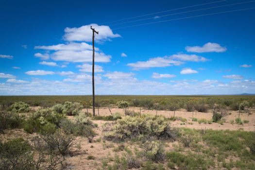 Old telegraph pole in the middle of the desert, in Mendoza, Argentina.