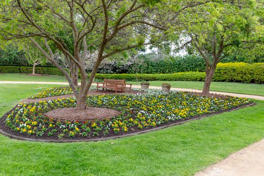 A colourful arrangement of flowers around the base of a large tree with pots and park benches