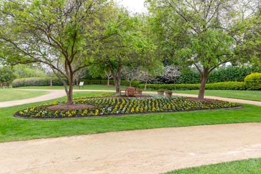 A colourful arrangement of flowers around the base of a large tree with pots and park benches