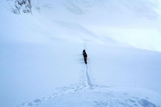 Tankhoy, Russia - January 20, 2019: A company of skiers in the mountains in the snow. Skiing.