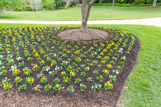 A colourful arrangement of flowers around the base of a large tree with pots and park benches