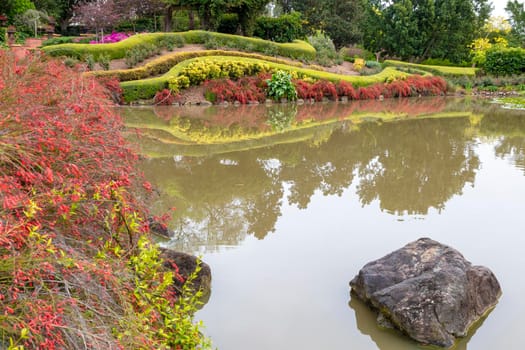 A colourful arrangement of flowers and plants on a pond