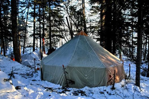 A large tourist tent in the winter forest.