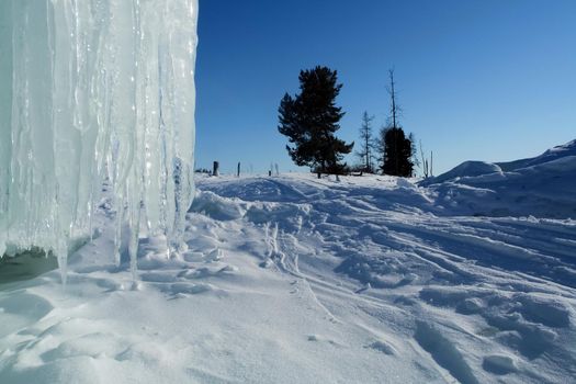 Long icicles hang from the rock