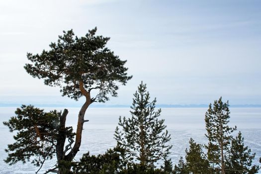 The shore of Lake Baikal in winter. Snow and ice on the baikal.