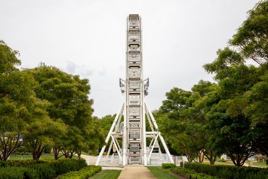 A large white ferris wheel with no people in a public park