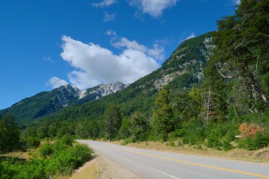 Road by a forested area near Nahuel Huapi Lake, in Argentinian Patagonia.