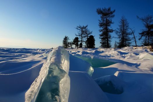 Taiga in the snow on baikal. Forest in winter