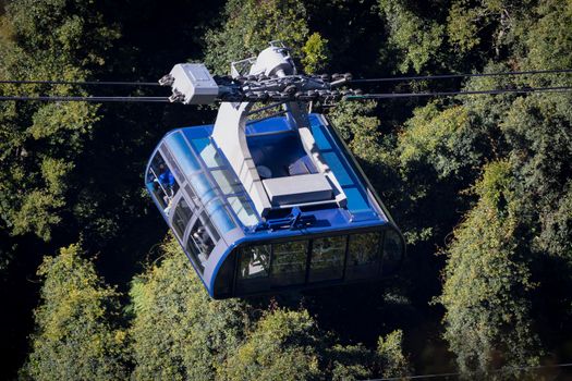 A small cable car travelling amongst trees in a forest on a mountain