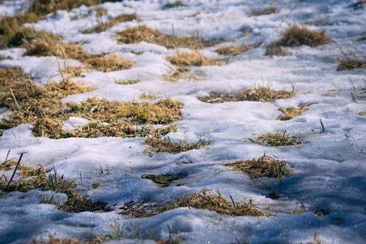 Snowy ground with patches of dry grass. Texture background.