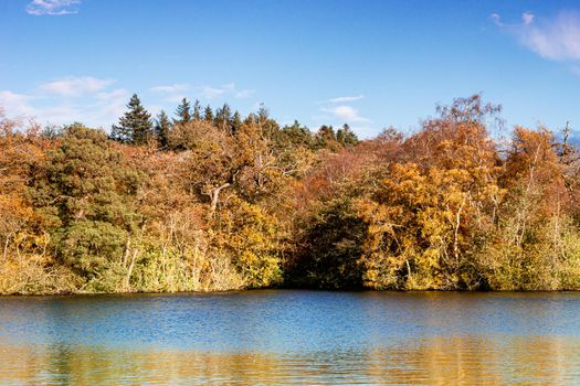 A view of the side of a lake, surrounded by trees, during autumn, with green, yellow and orange leaves, and a partly cloudy sky.