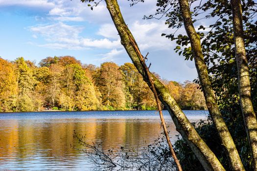 A view of the side of a lake, surrounded by trees, during autumn, with green, yellow and orange leaves, and a partly cloudy sky.