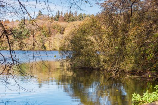 A view of the side of a lake, surrounded by trees, during autumn, with green, yellow and orange leaves, and a partly cloudy sky.