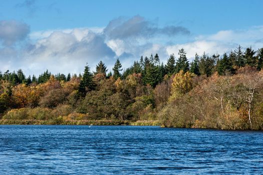 A view of the side of a lake, surrounded by trees, during autumn, with green, yellow and orange leaves, and a partly cloudy sky.