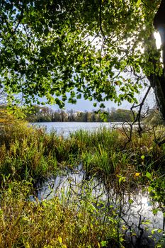 A view of the side of a lake, surrounded by trees and grass, during autumn, with green, yellow and orange leaves, and a cloudy sky.