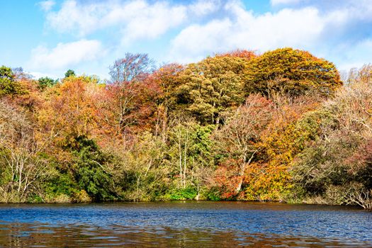 A view of the side of a lake, surrounded by trees, during autumn, with green, yellow and orange leaves, and a partly cloudy sky.