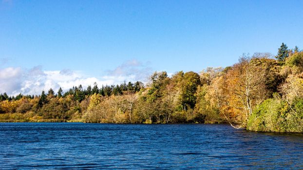 A view of the side of a lake, surrounded by trees, during autumn, with green, yellow and orange leaves, and a partly cloudy sky.