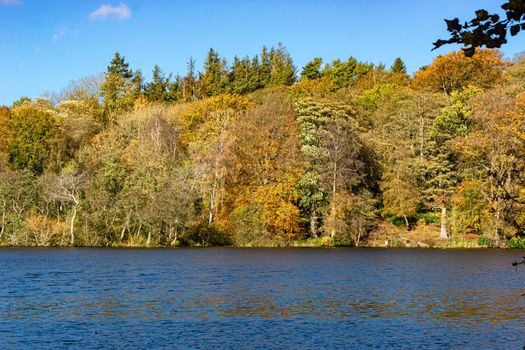 A view of the side of a lake, surrounded by trees, during autumn, with green, yellow and orange leaves, and a partly cloudy sky.