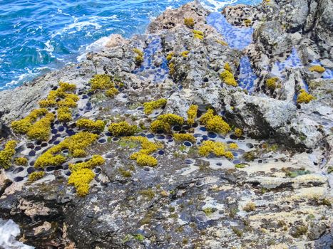 Easter Island coastline. Easter Island coast, rocks and ocean.