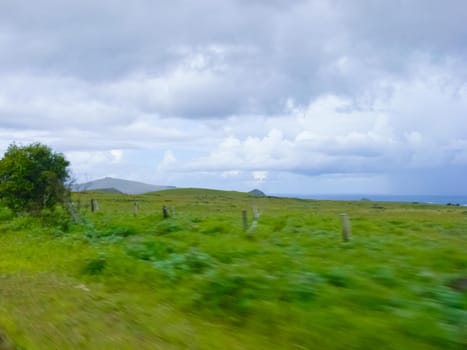 The nature of Easter Island, landscape, vegetation and coast.