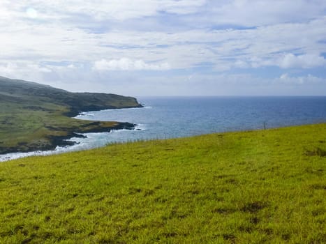 The nature of Easter Island, landscape, vegetation and coast.