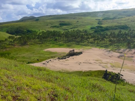 The nature of Easter Island, landscape, vegetation and coast.