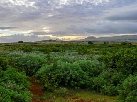 The nature of Easter Island, landscape, vegetation and coast.