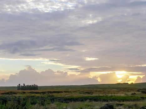 The nature of Easter Island, landscape, vegetation and coast.