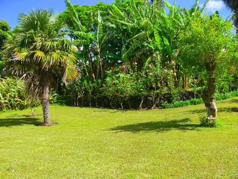 The nature of Easter Island, landscape, vegetation and coast.