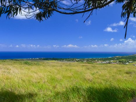 The nature of Easter Island, landscape, vegetation and coast.